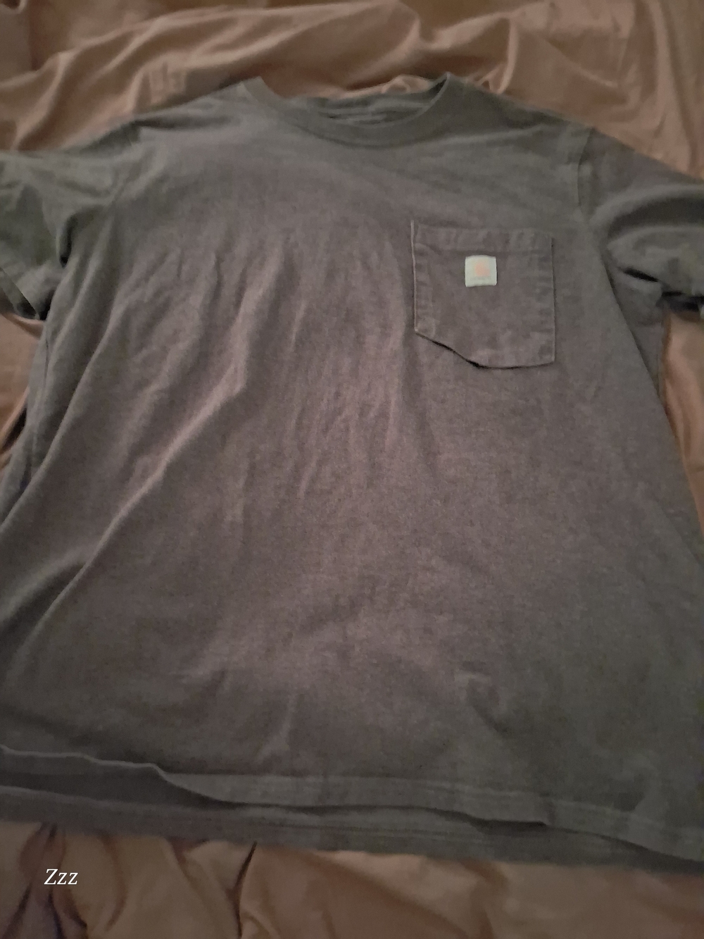 Carhartt Short Sleeve Pocket Tee New